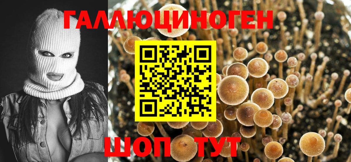 Галлюциногенные грибы Cubensis Советская Гавань