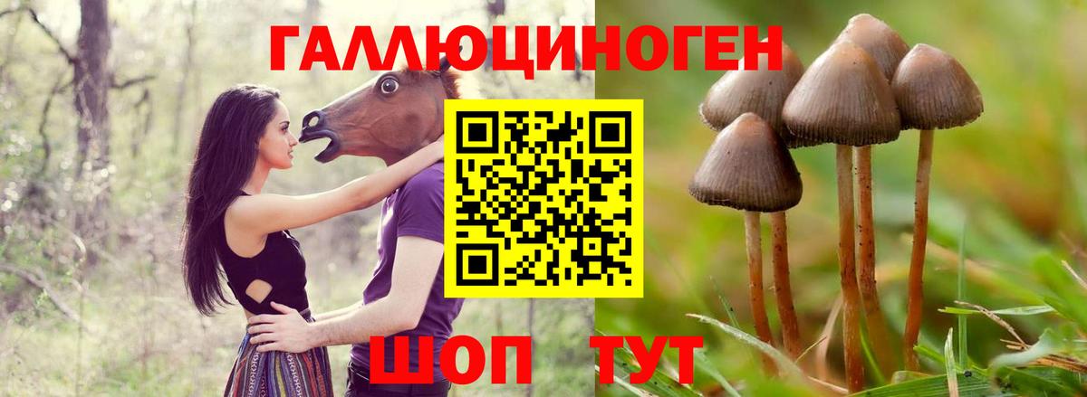 как найти закладки  Галлюциногенные грибы MAGIC MUSHROOMS  Вход с VPN  Советская Гавань 